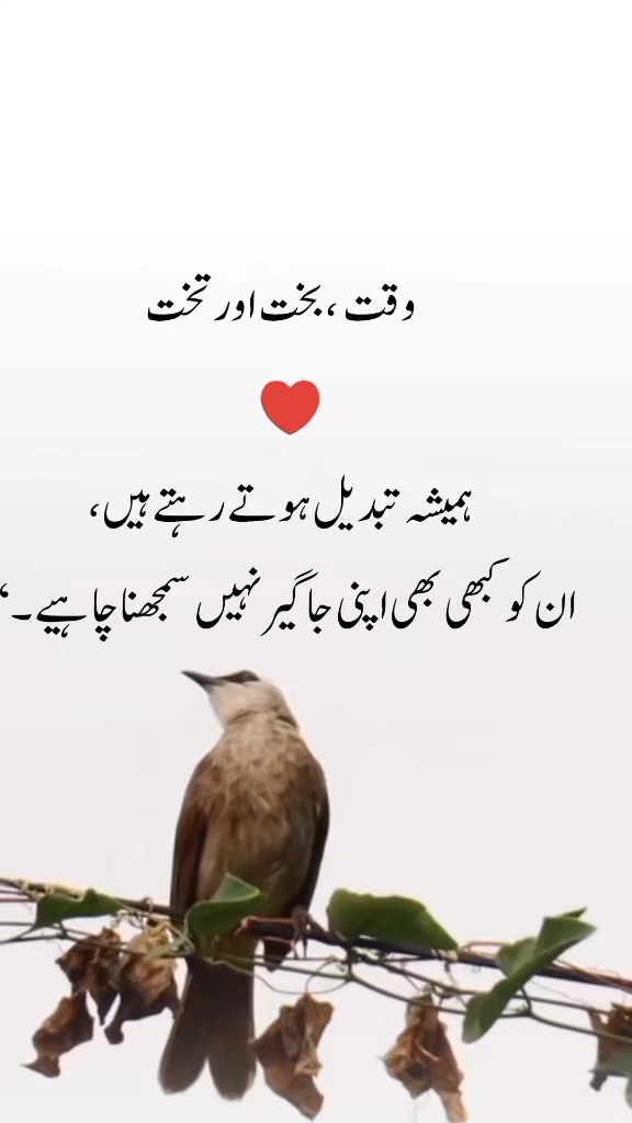 @نوید بلوچ 🇸🇦