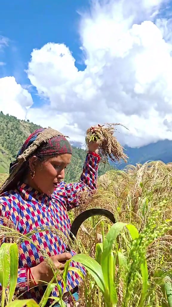 @kalpanasinghshahithakuri