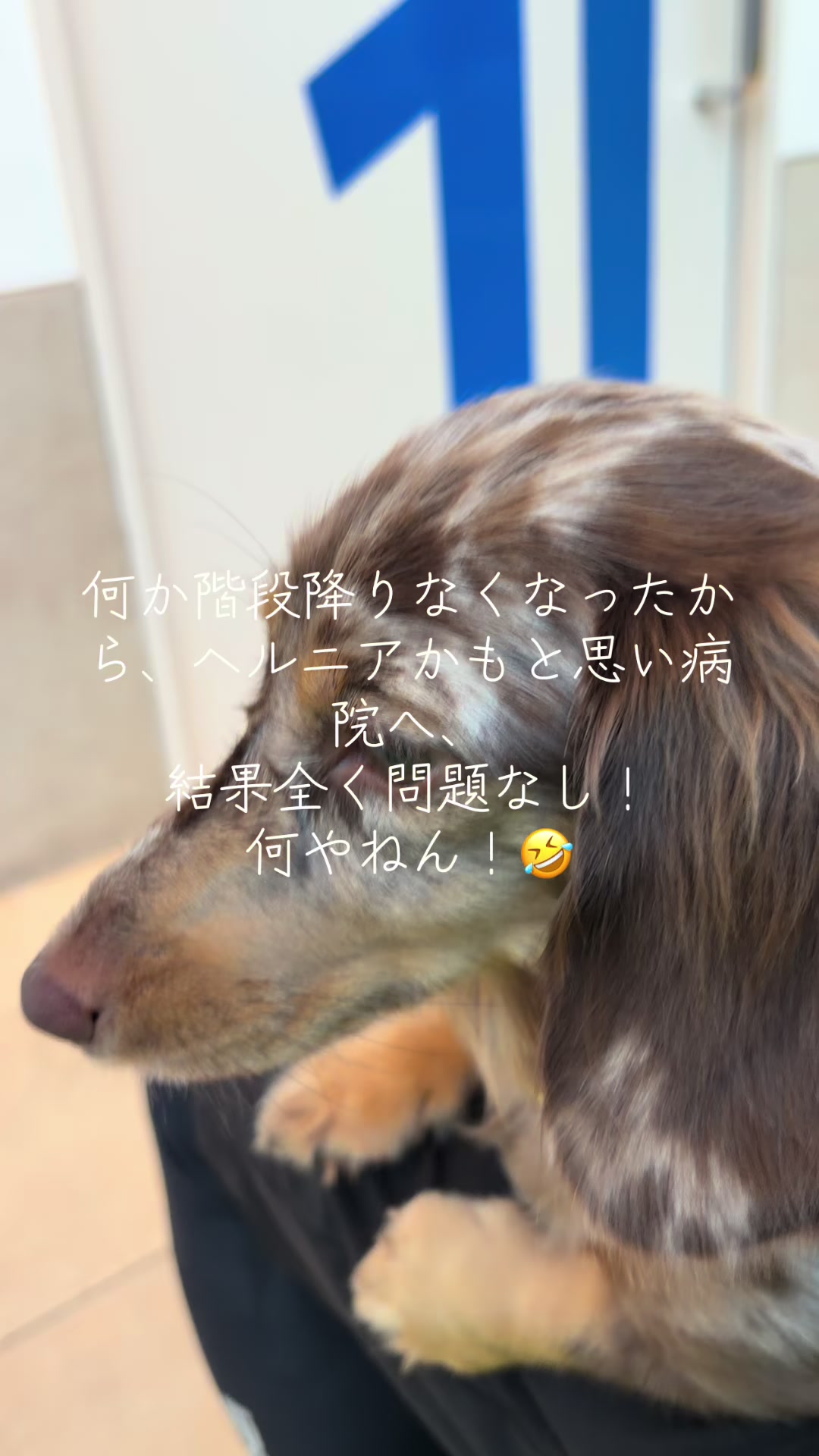 @ケン