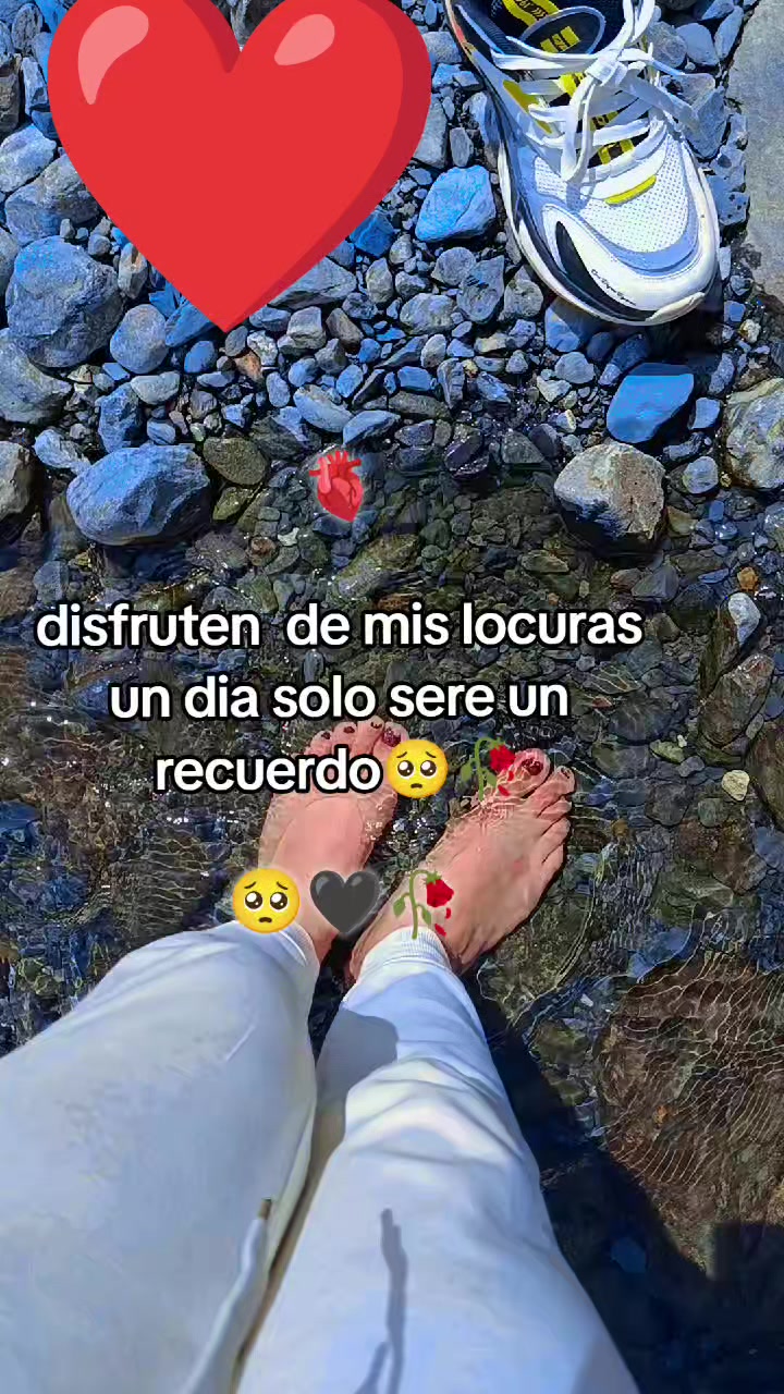 @mshelquispe