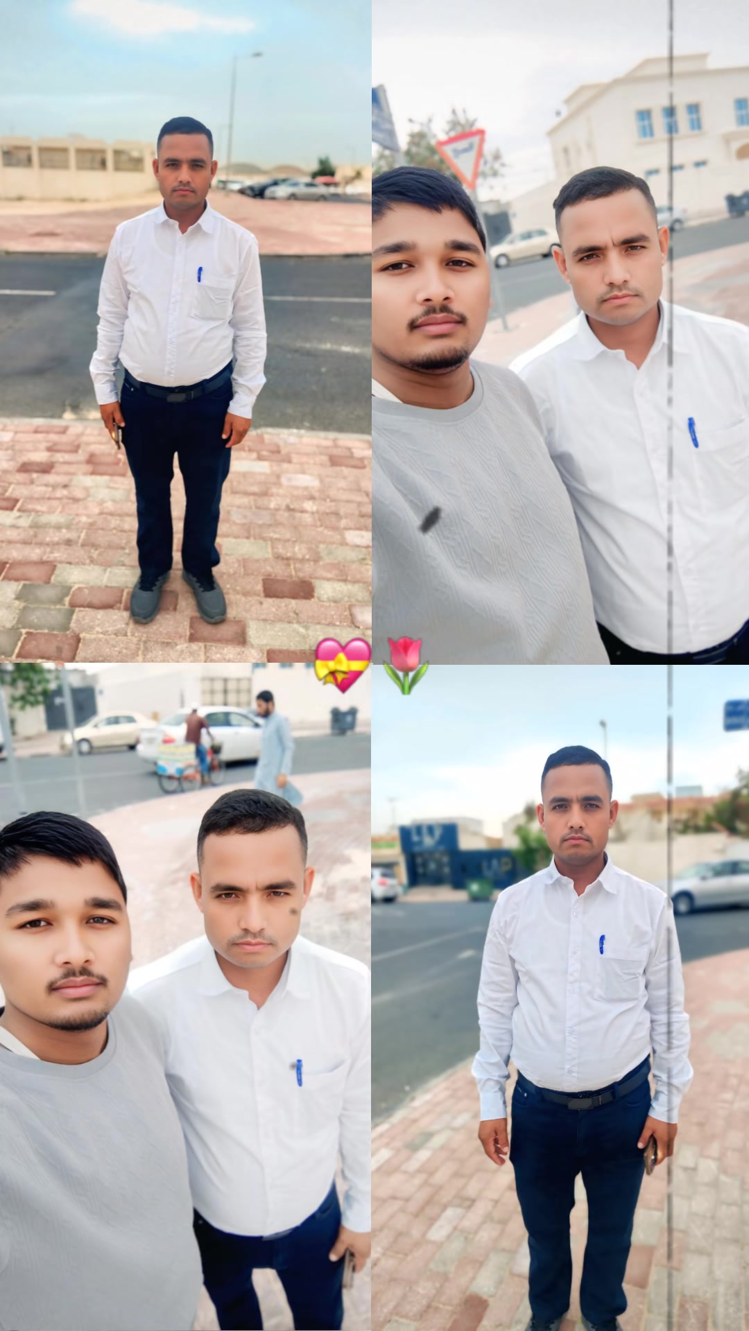 @🕊️