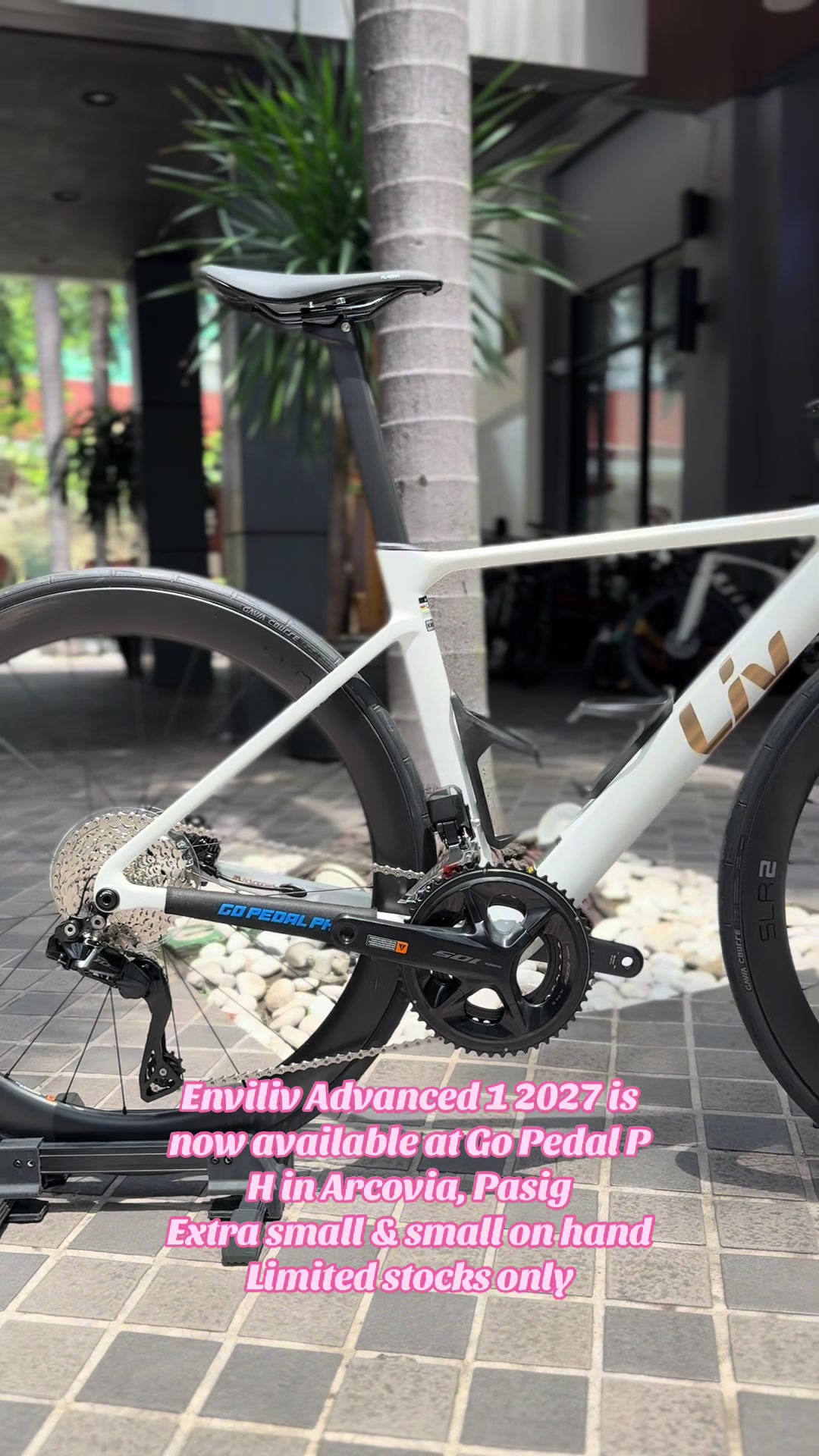 @gopedalph