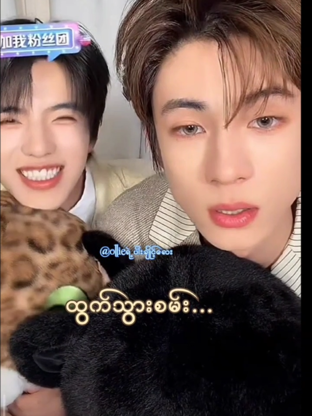 @Ollieရဲ့ပါးချိုင့်လေး🐶🐷