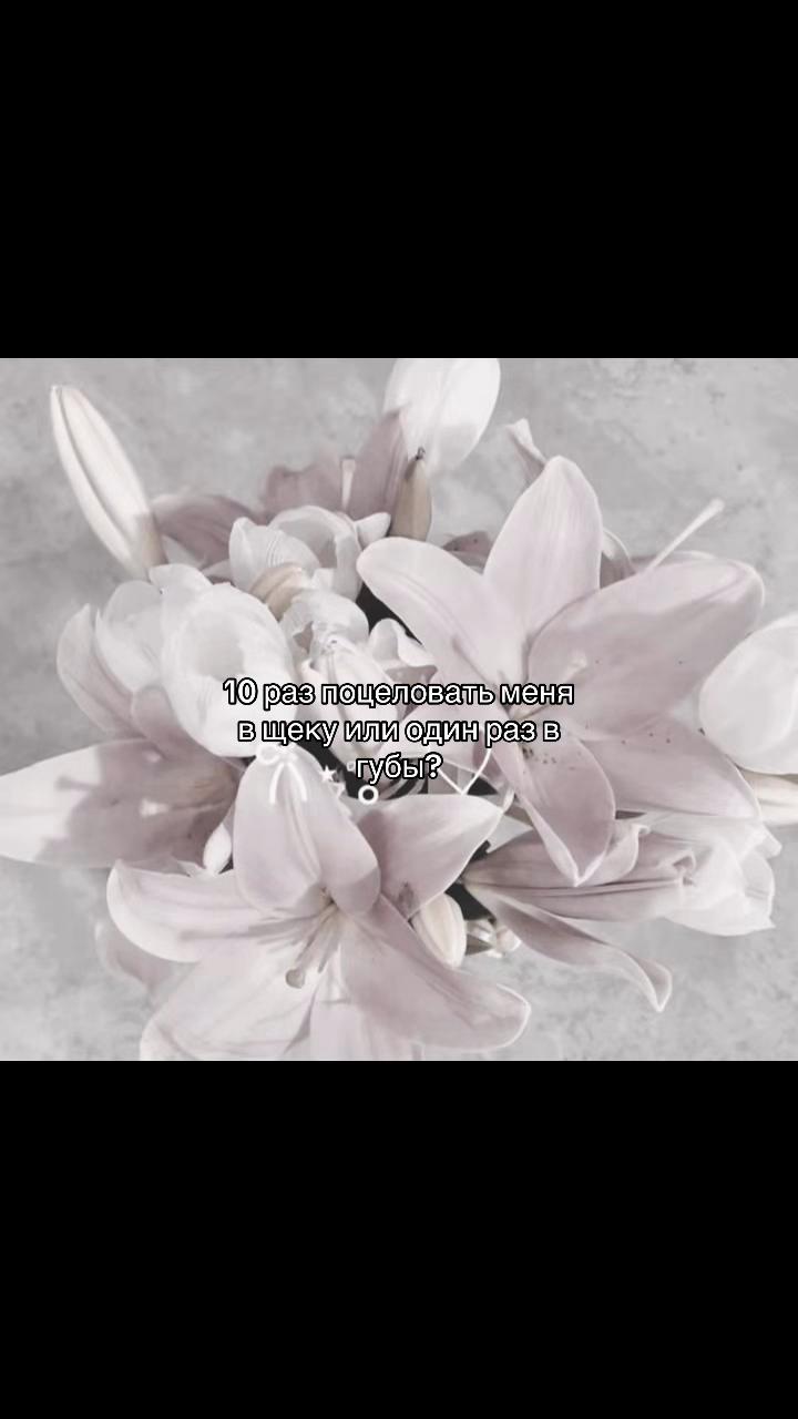 @݁˖𝜗ৎ ᥎ᥲᥒiᥣᥣᥲ‧˚꒰🐾୭ ˚