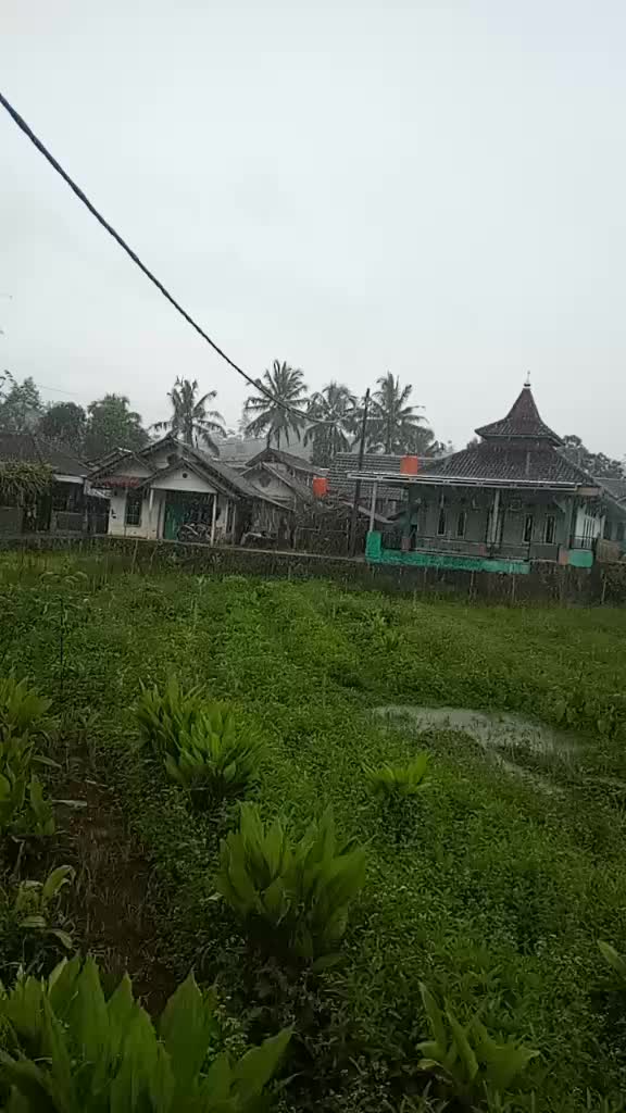 @Sasa Paul