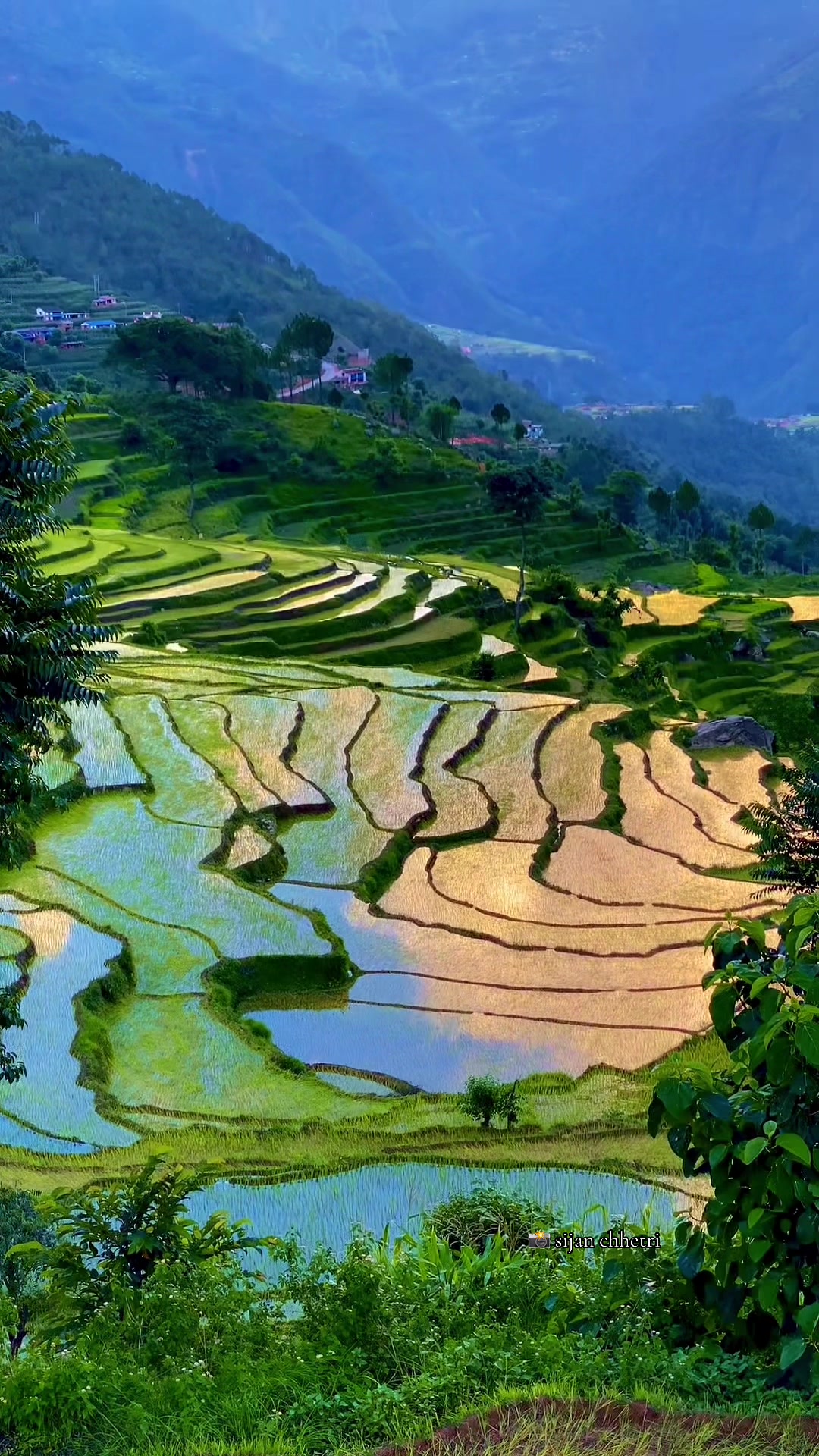 @Sijan Chhetri