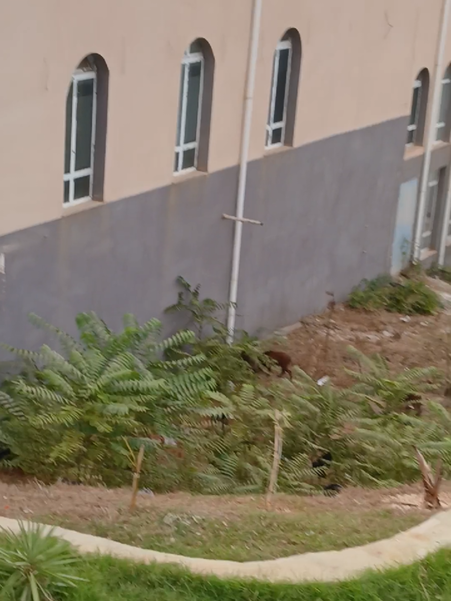 @Nassima Bouloufa