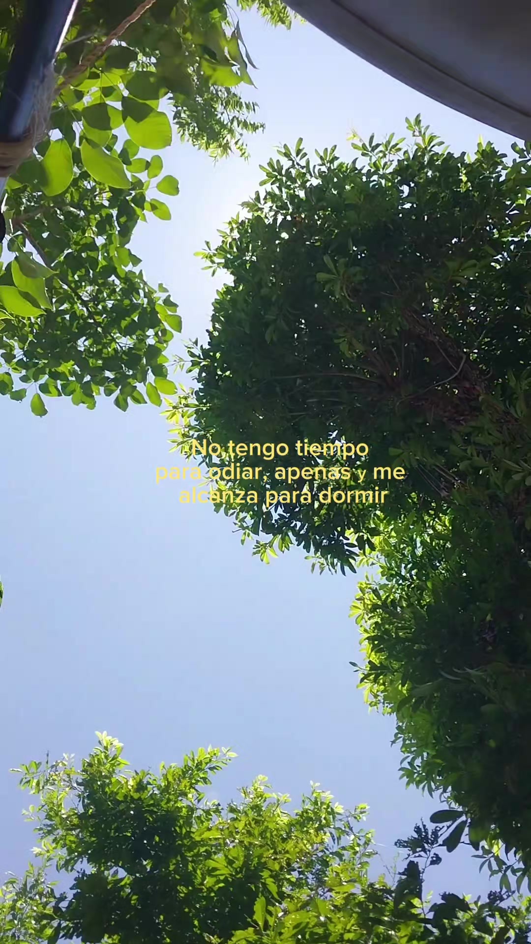 @Emily Santos 🦿