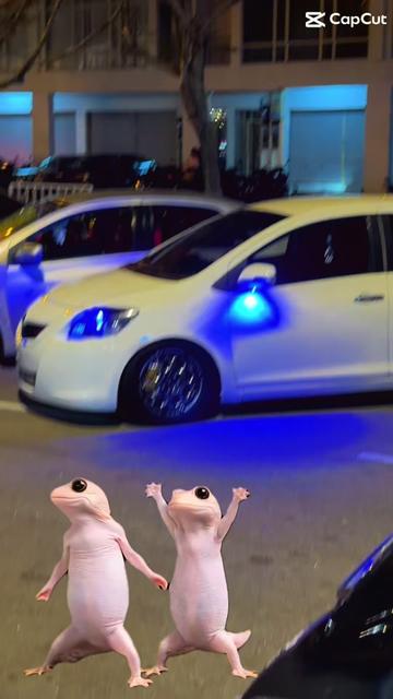 @๐๐๐ซ๐ฑ๐ก๐ข๐ณ๐ฏ๐๐ง ๐