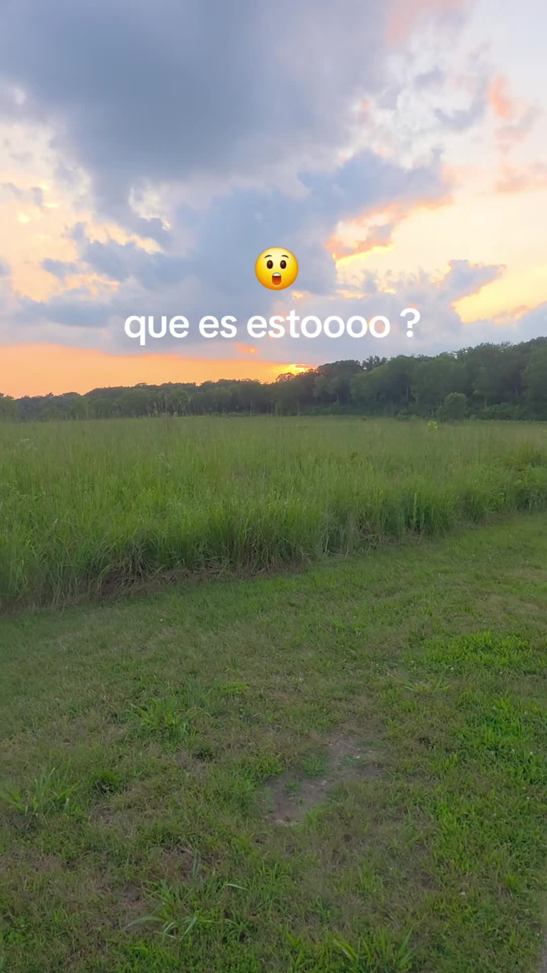 @Yura 💛💙❤️