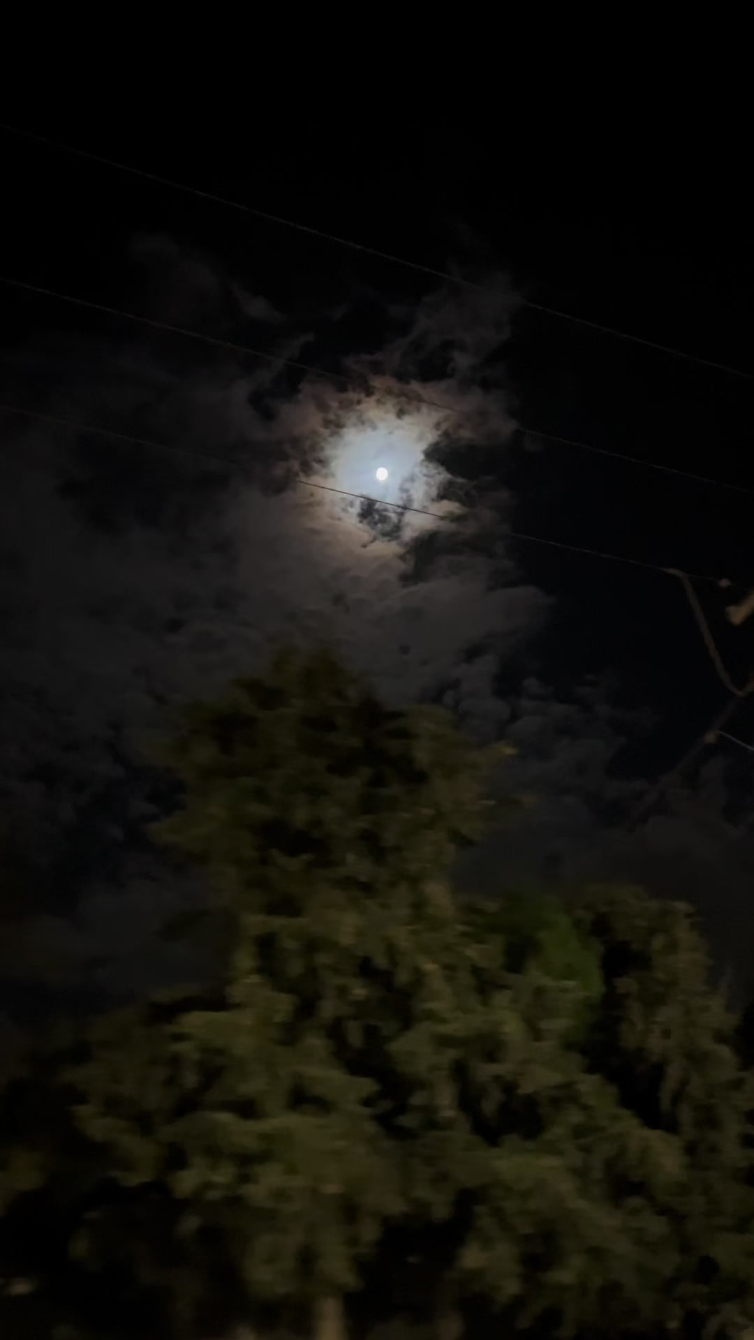 @عناد