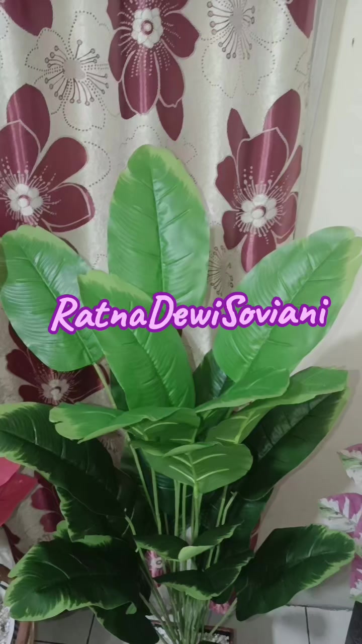@RatnaDewiSoviani