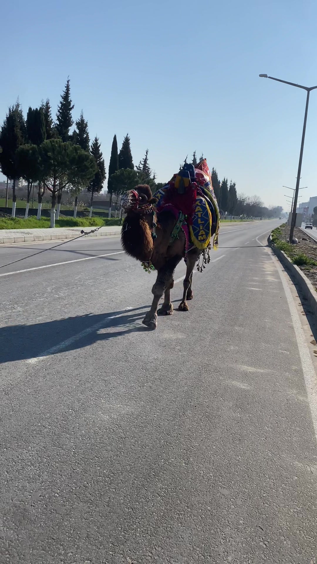 @Ozan,Kılınç