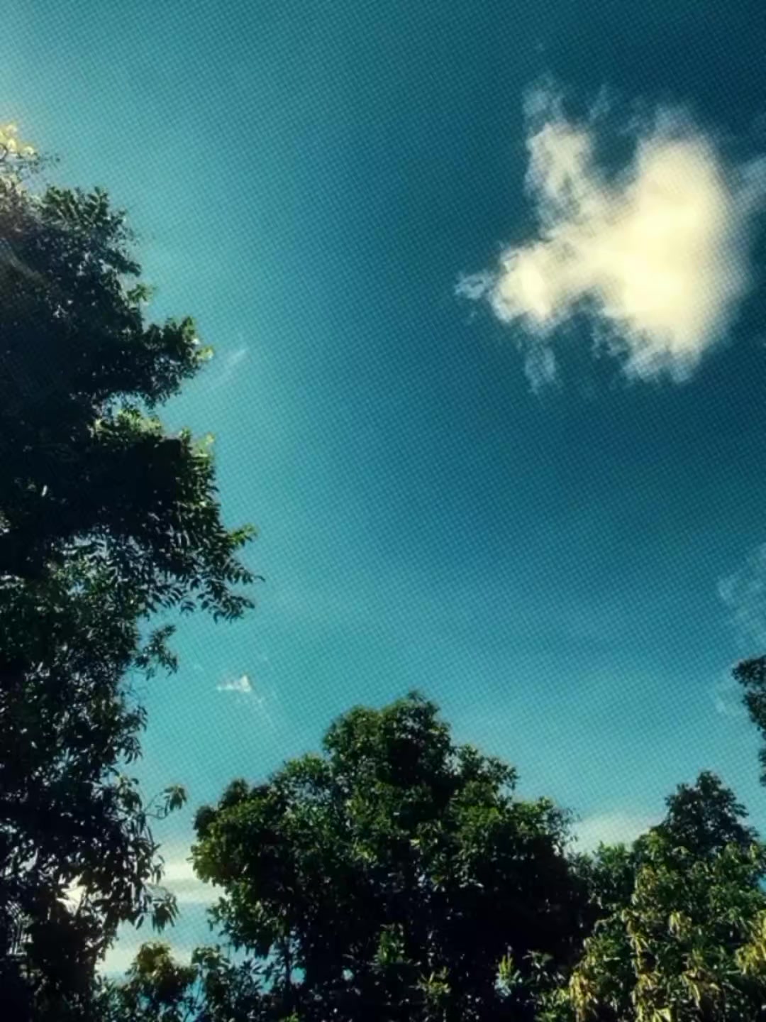 @⏤͟͟𝐀𝐛𝐫𝐚𝐫_ভাইয়া?!🌷🪐