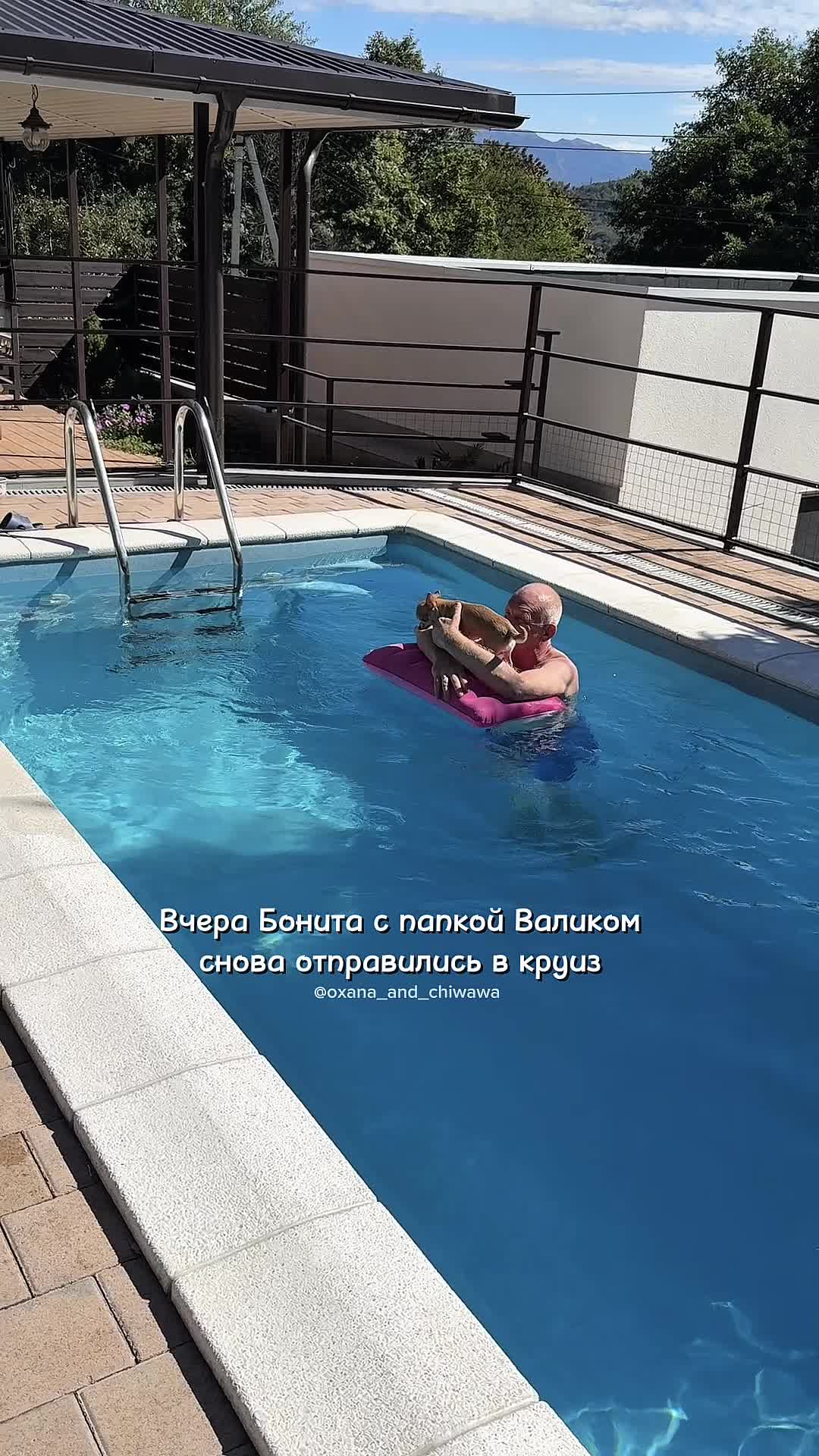@Оксана & Чихуахуа Бонита