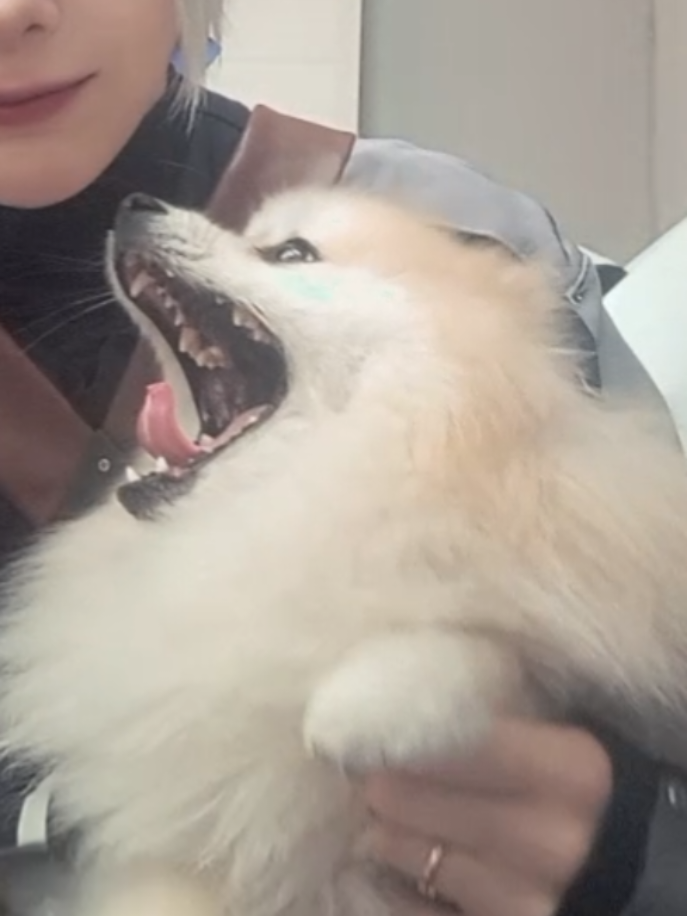 @Kotiks .-.