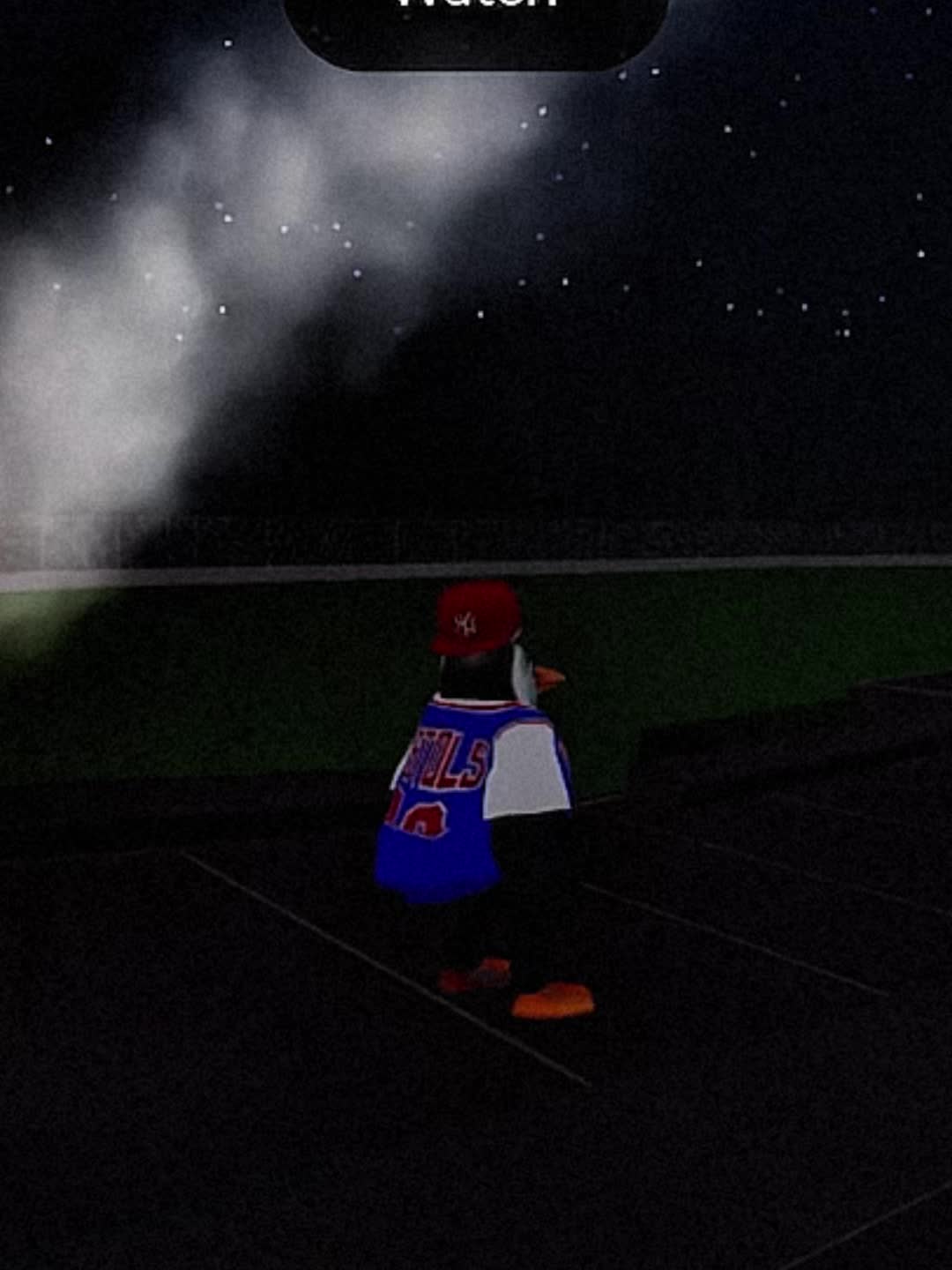 @PLAYBOI PENGUIN
