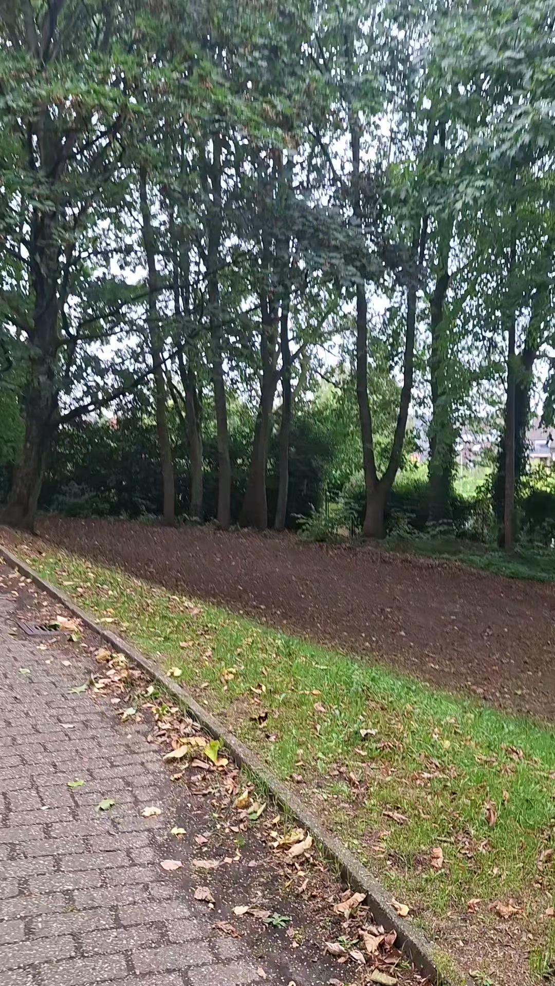 @Kasiunia 🇵🇱🇩🇪