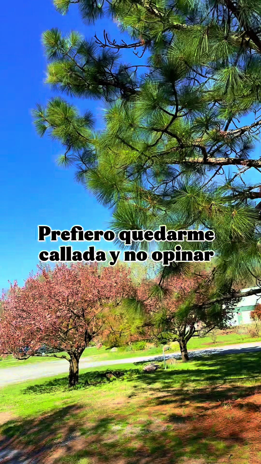 @Nuris Castillo