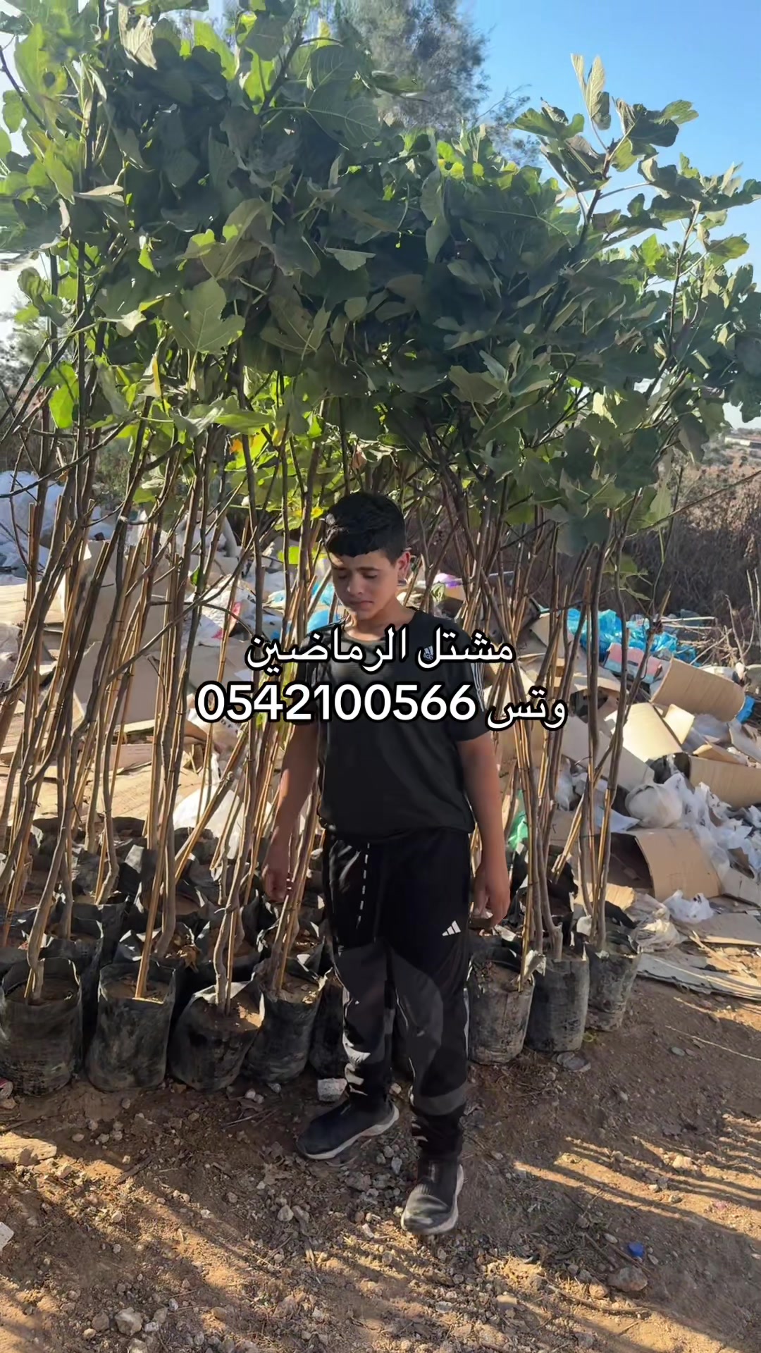 @مشتل الرماضين وتس0542100566