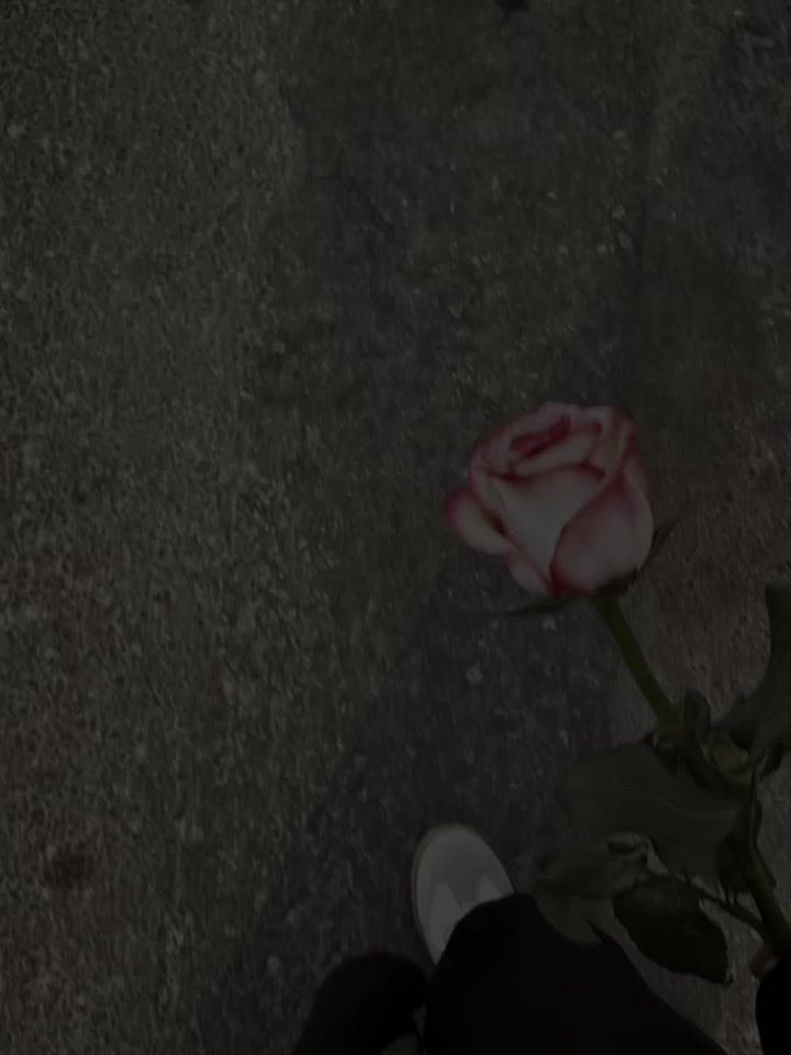 @- 𝐄𝐬𝐡𝐚𐙚𓍢ִ🌷͙