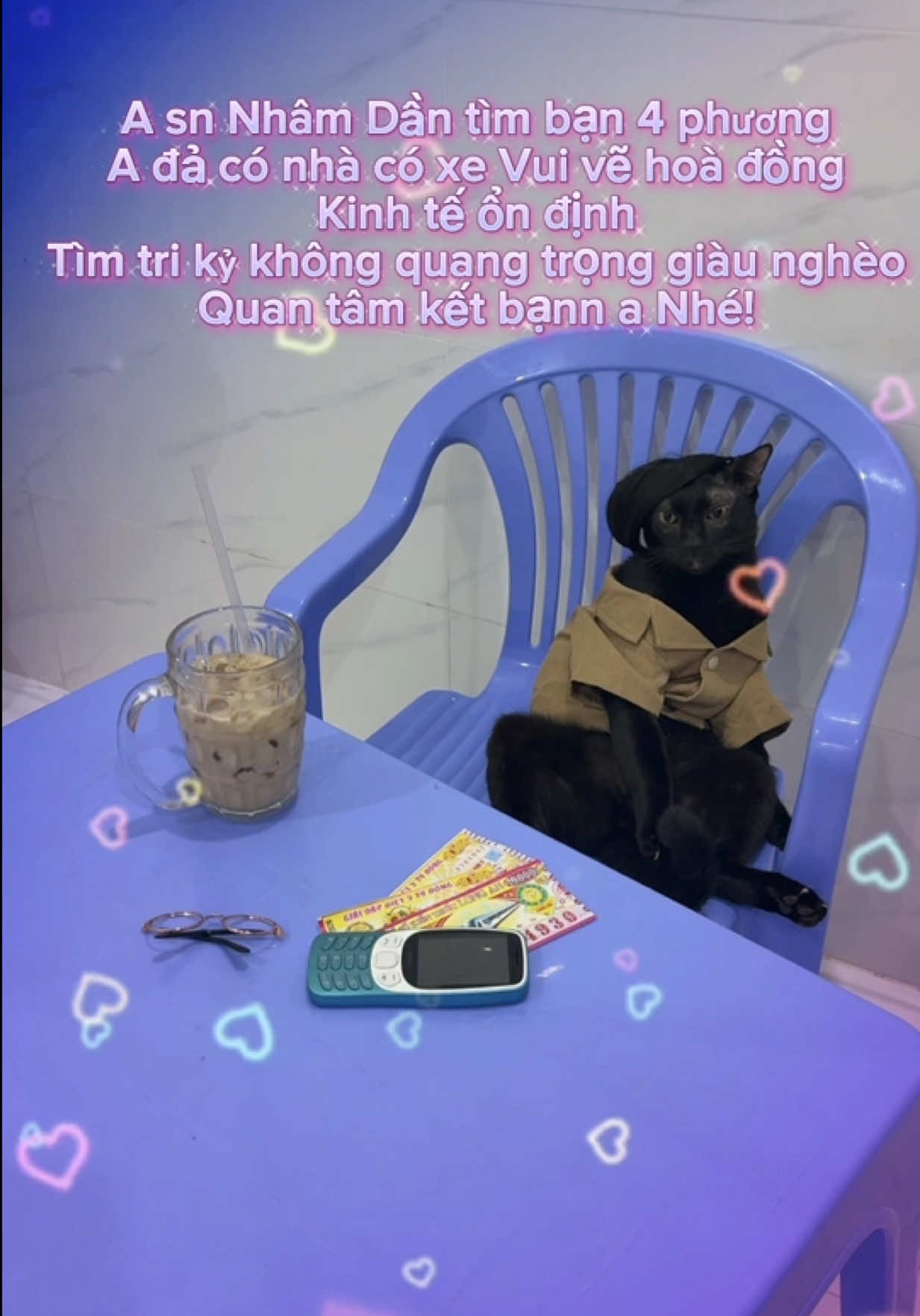 @Vitamin Mèo