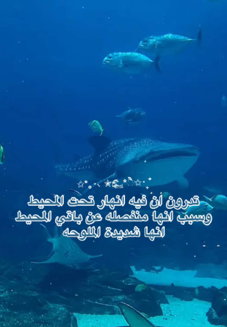 @Sh|شَ 🌊🪷࿐ ౨ৎ ⋆ 。˚