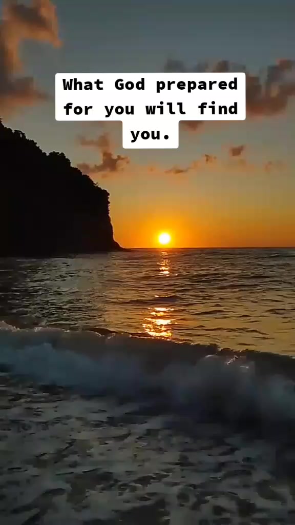 @Gitel 🦋🦋👁️