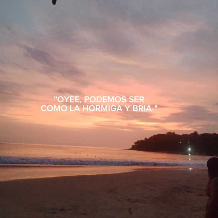 @˚₊‧꒰ა🦍ISABELA🦍 ໒꒱‧₊˚