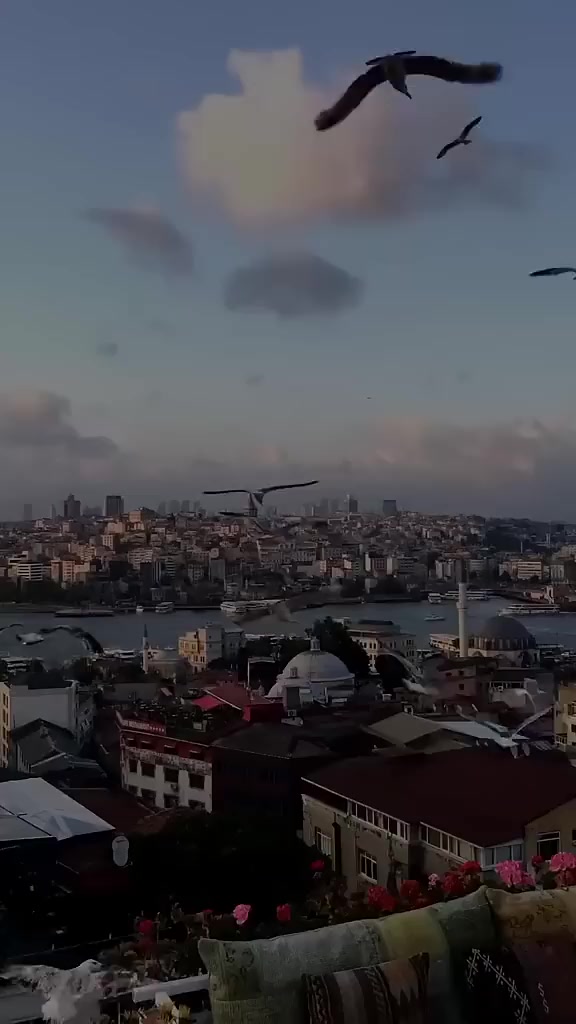 @طارق العمري