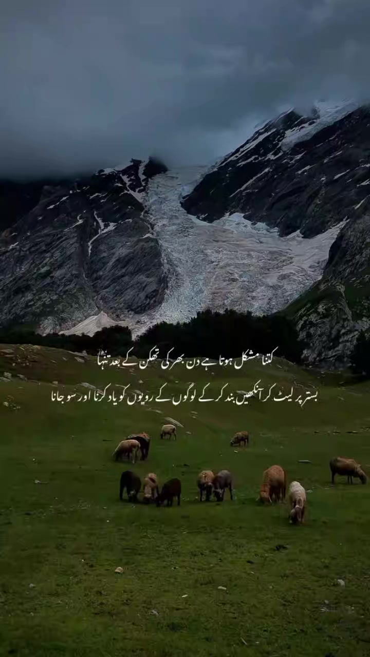 @𓂃𝐐𝐮𝐞ع𝐧֟⸙᭄👑