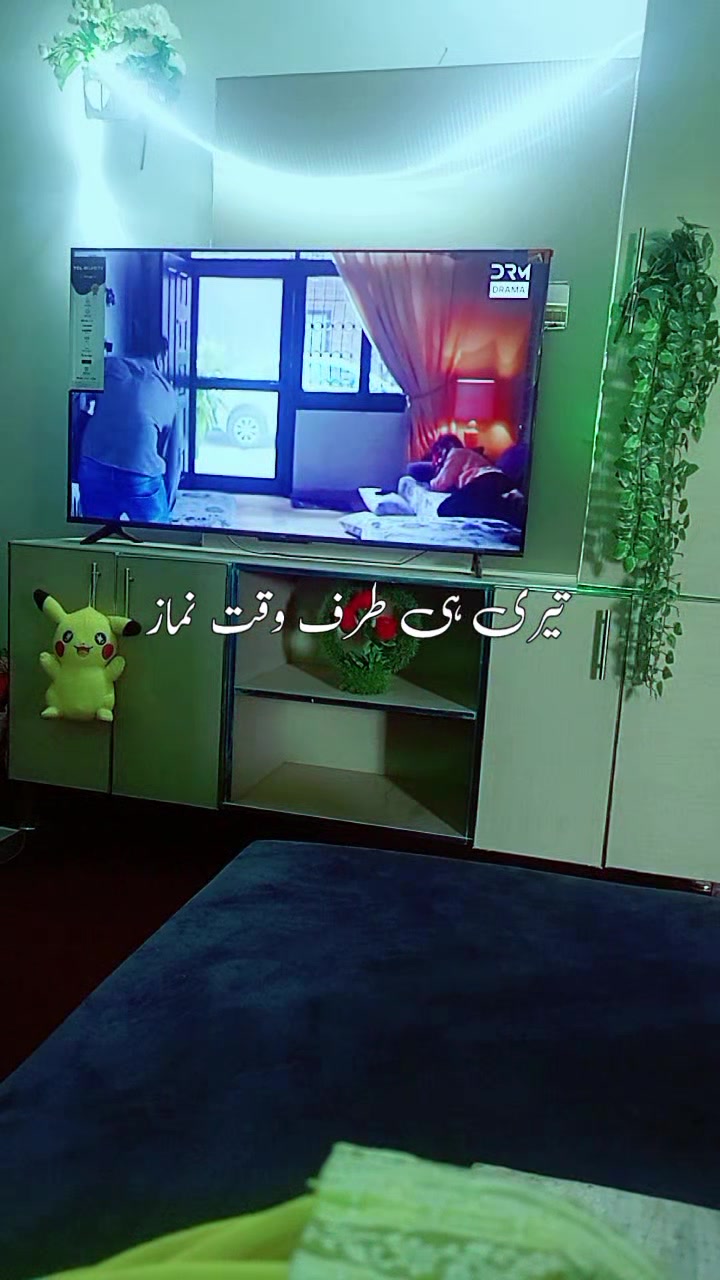 @sumee jeebahawalpur