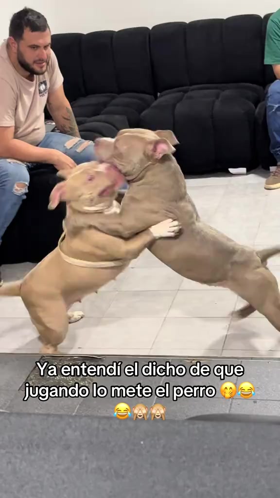 @Angely💜
