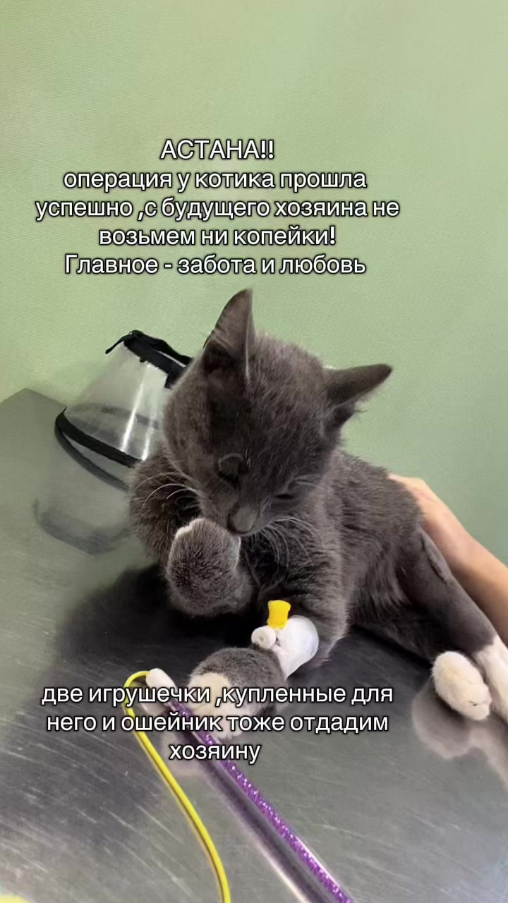 @BERTRAM СЕРЖАНТ