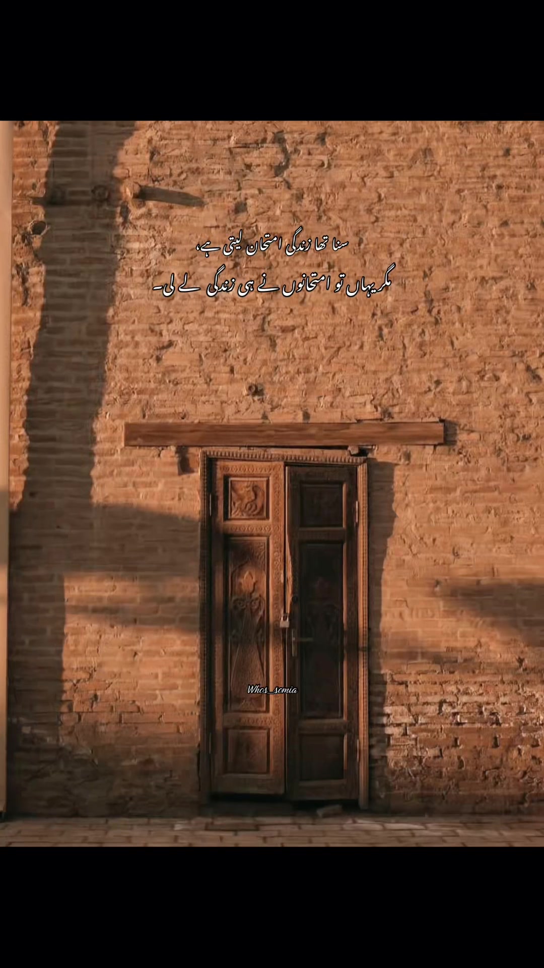 @سومیا🕊️