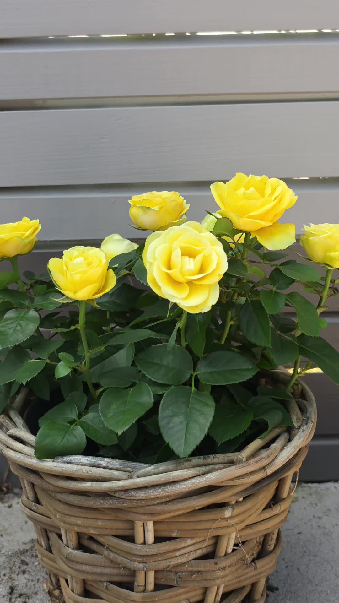 @💐