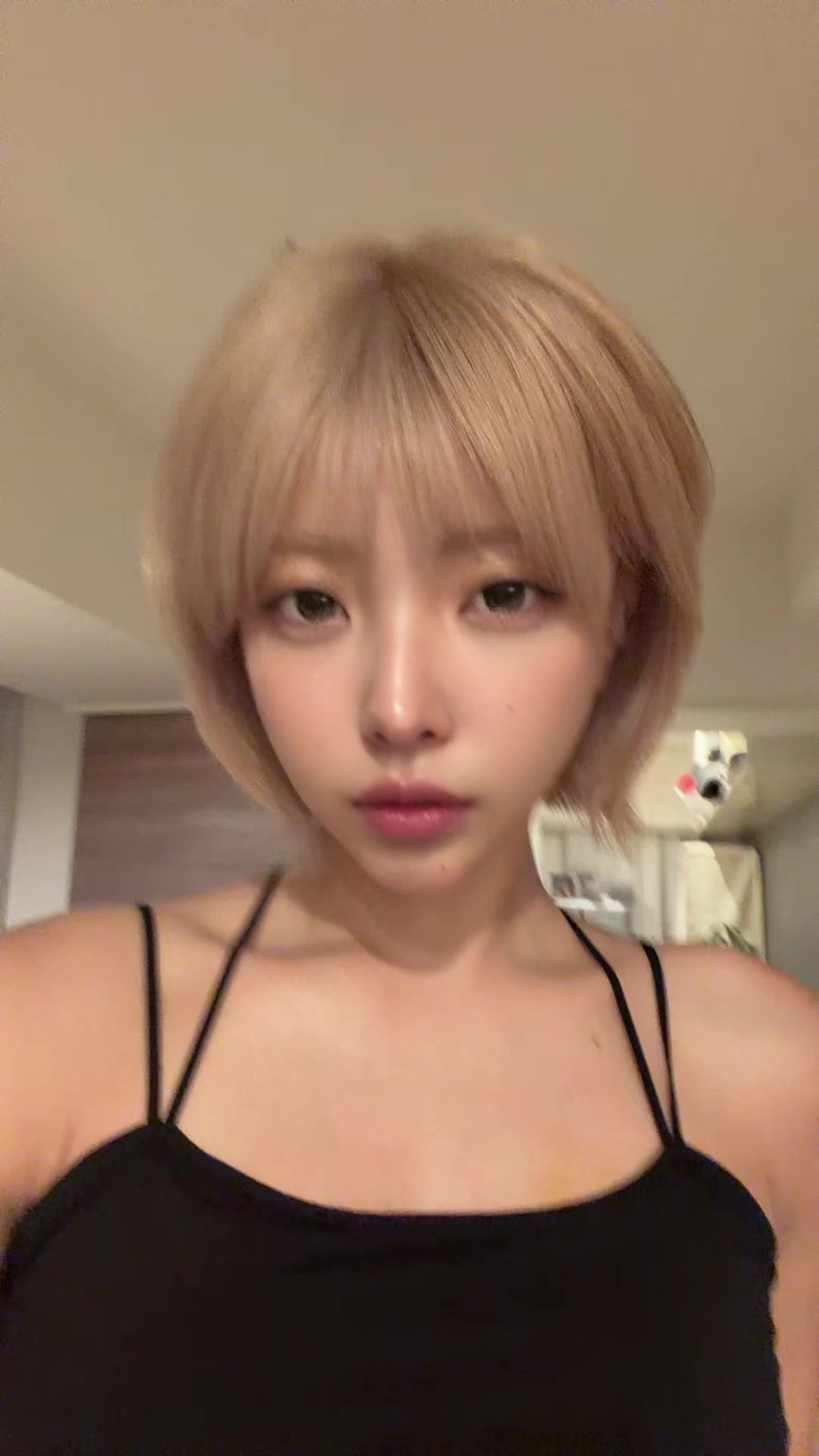 @はまのあんず
