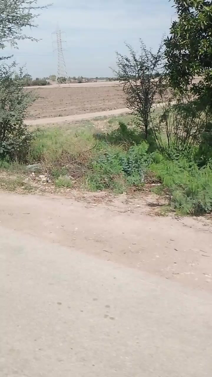 @aijaz solangi