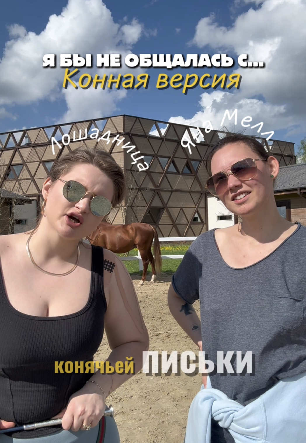 @Лошадница