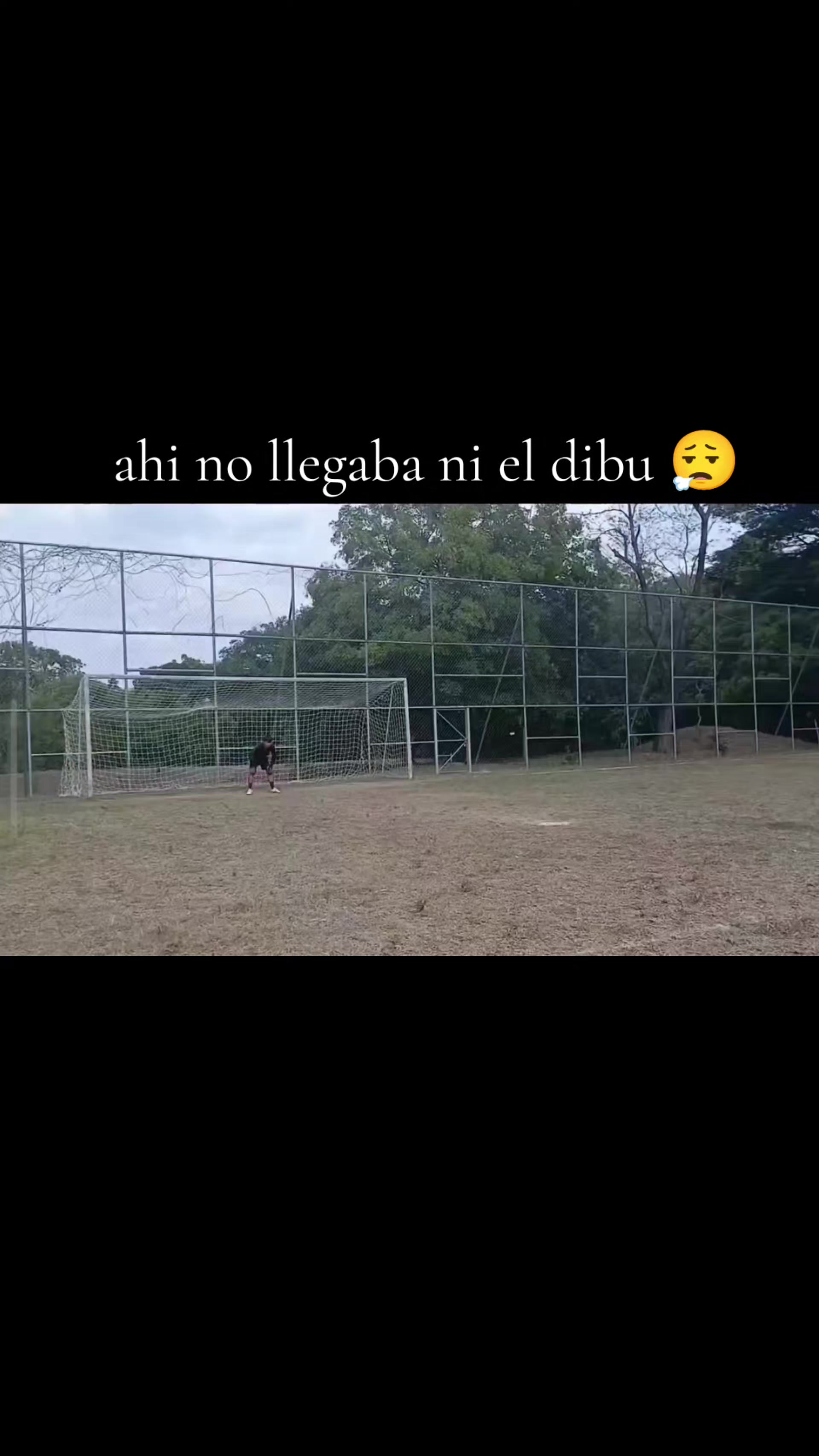 @L-GAM10