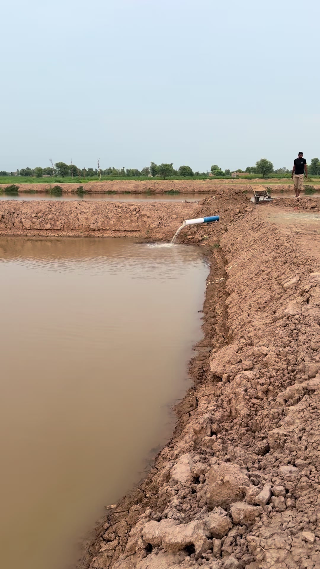 @Malik Dairy Farm 265HR
