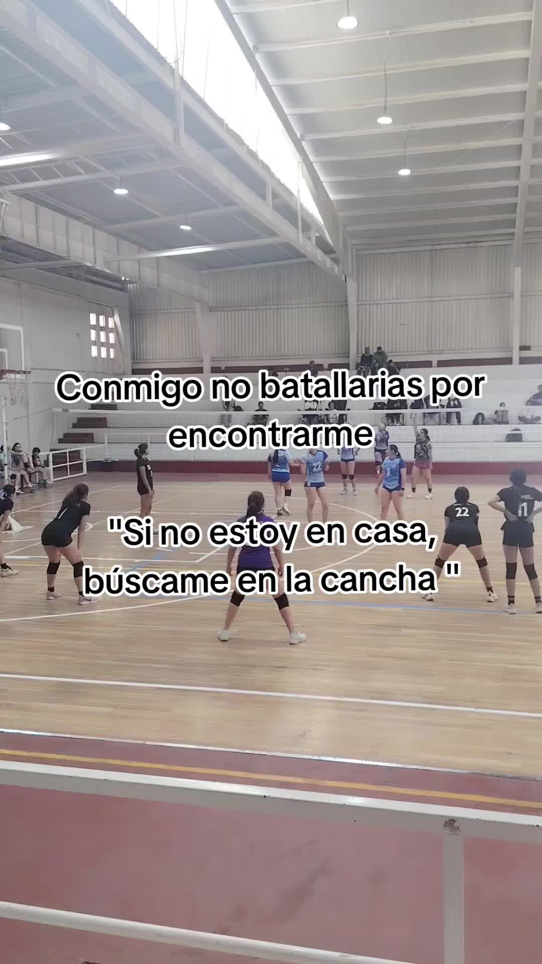 @Gerardo McQueen