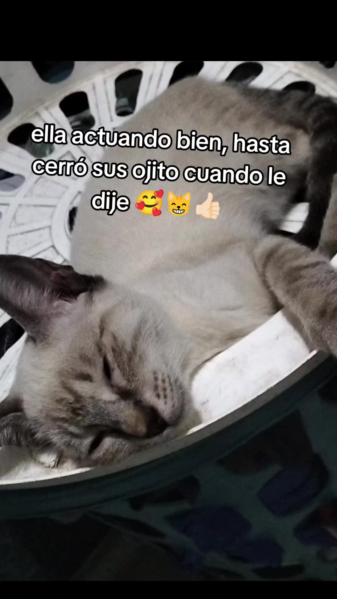 @EMILIO_CVZ