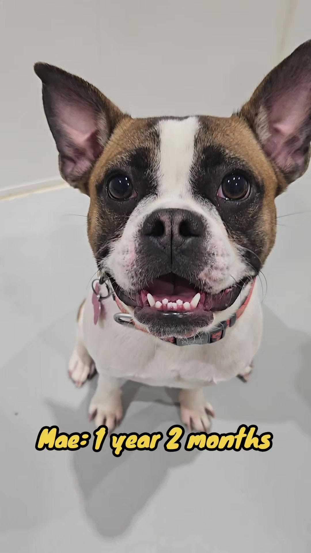 @Kelsey 🇨🇦