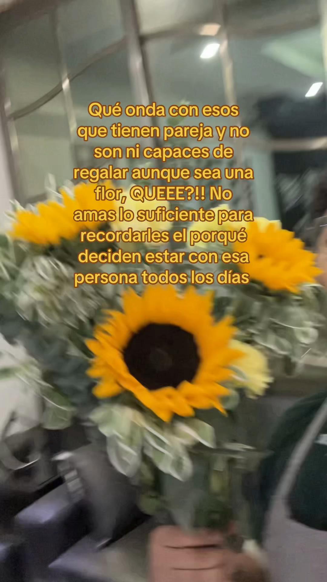 @CachyRulinho