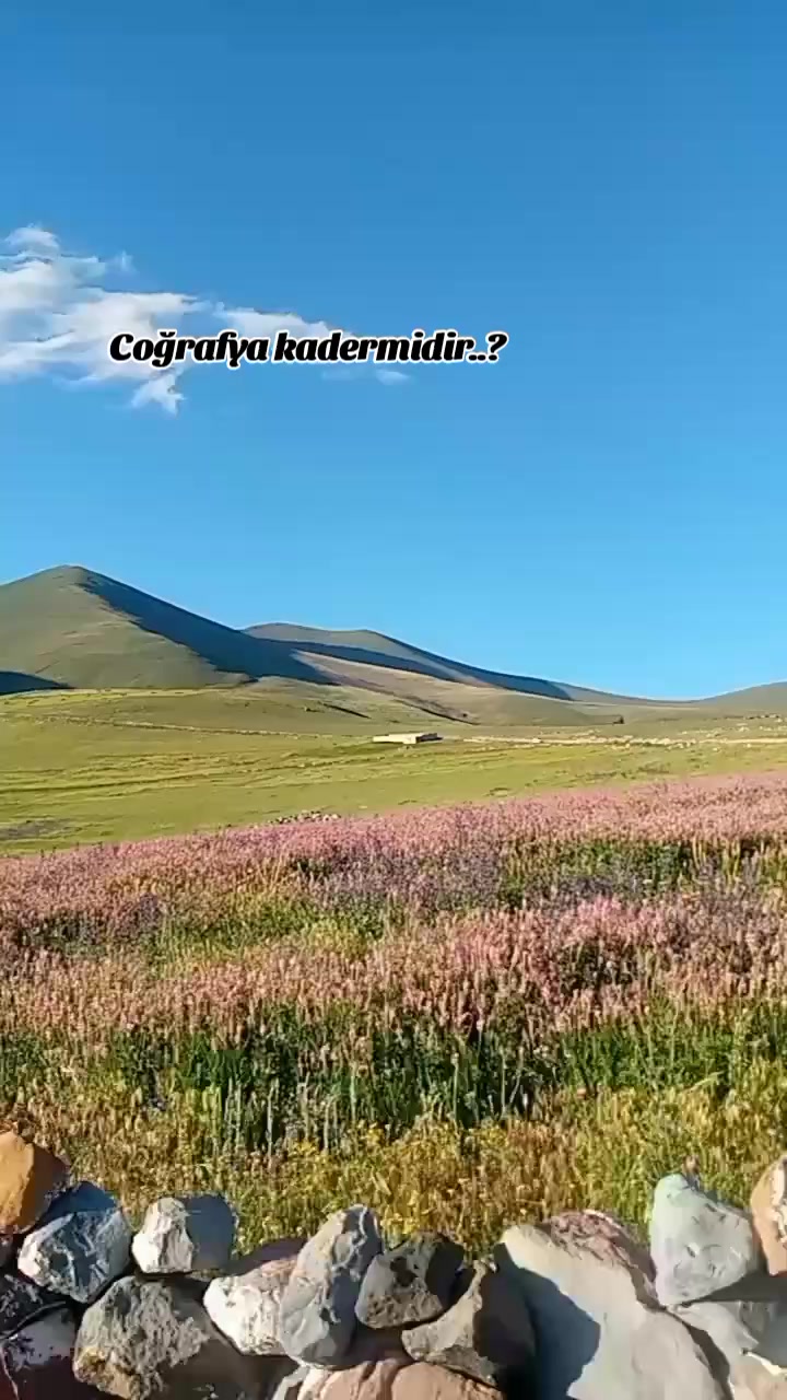 @"🦋