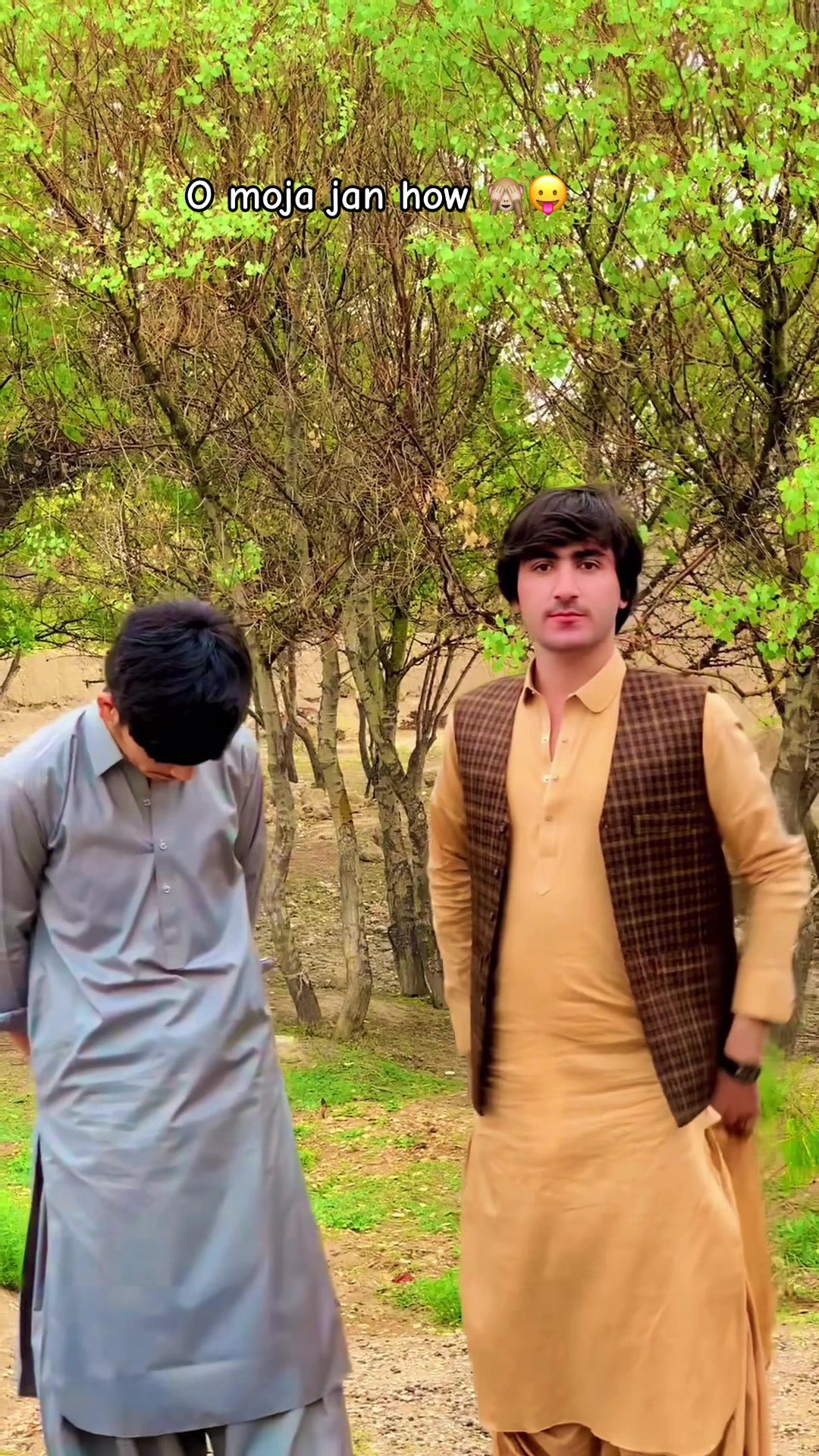 @Israrpashtn