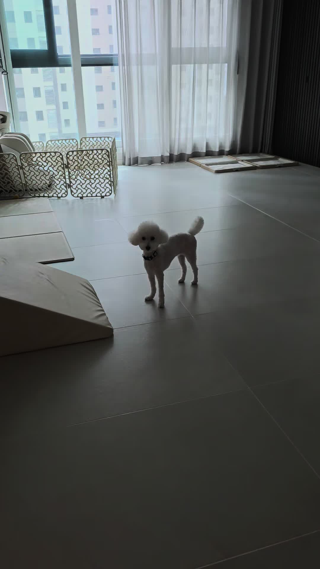 @코우
