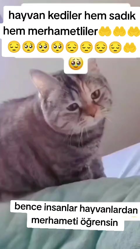 @gamzeli kızı 😊 minnoşlari