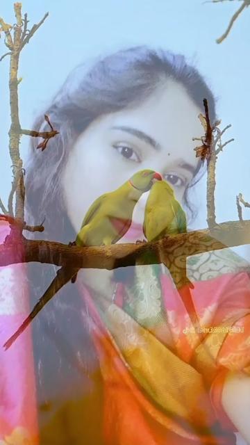 @সোনিয়া 💐🦜🦜🌺🌹🥀